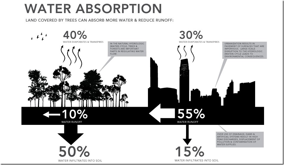 03-infographic-architectkidd-trees-absorb-water